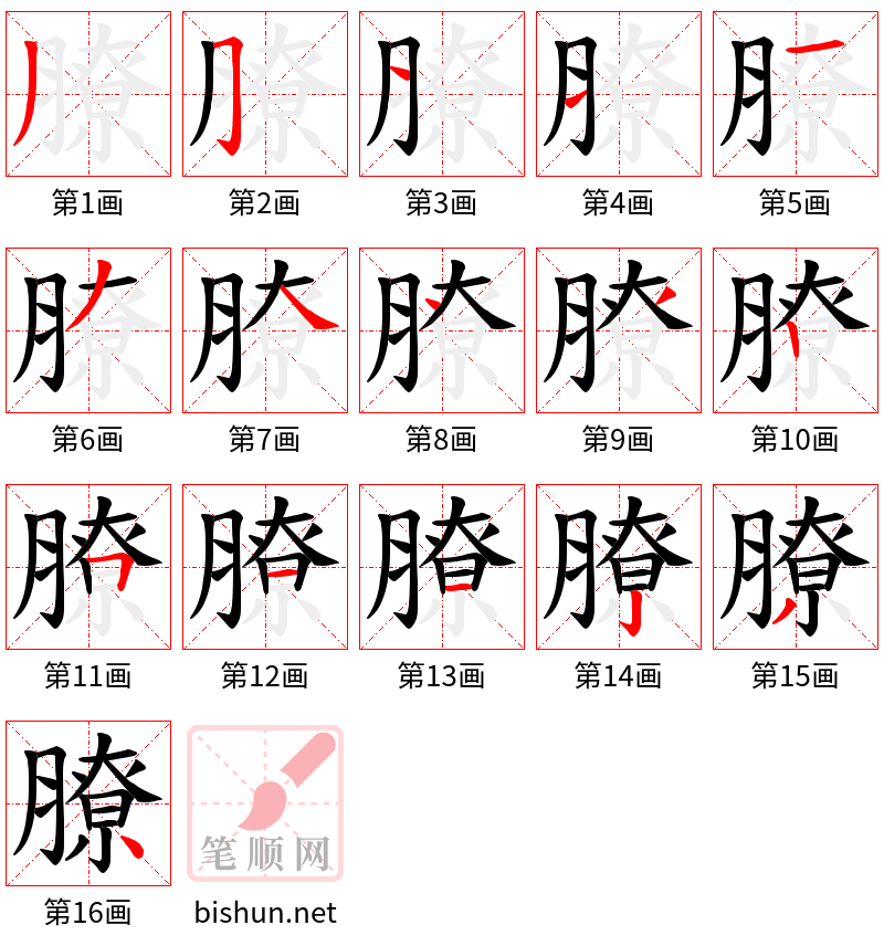 膫 笔顺规范