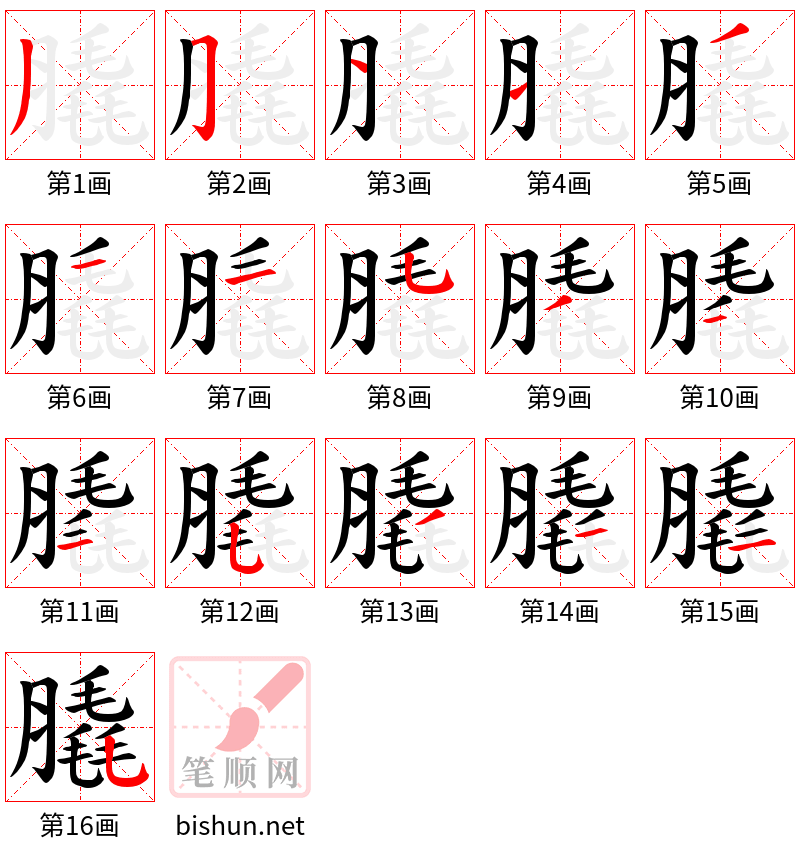膬 笔顺规范