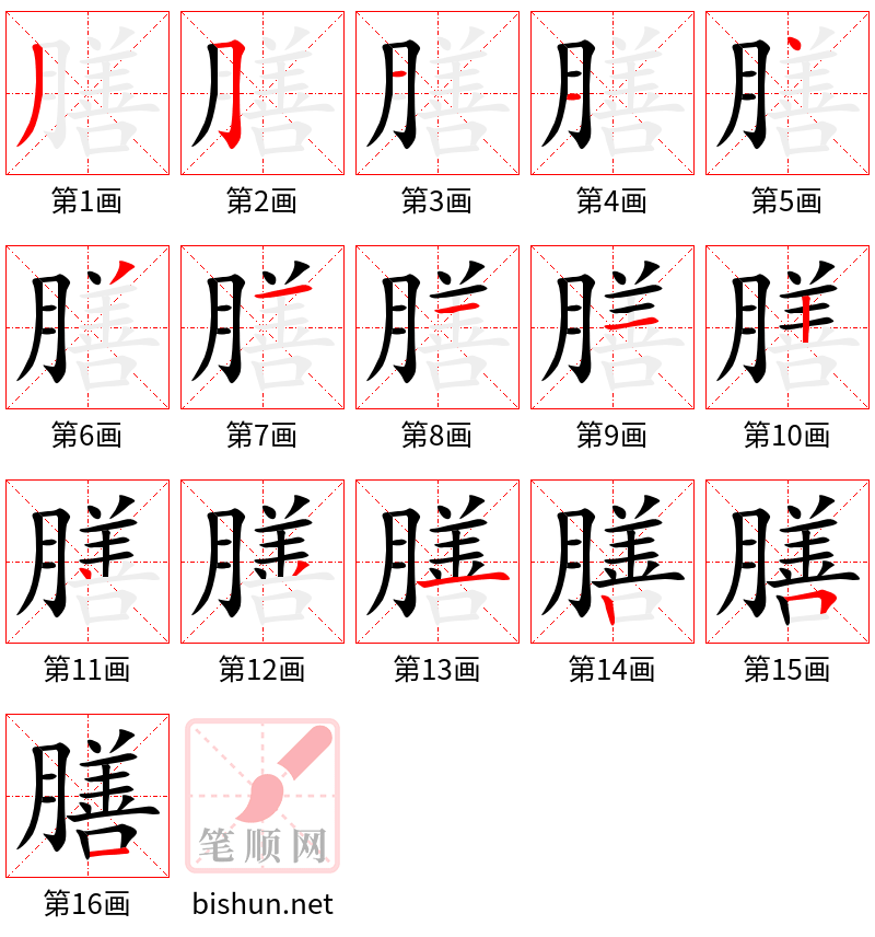 膳 笔顺规范