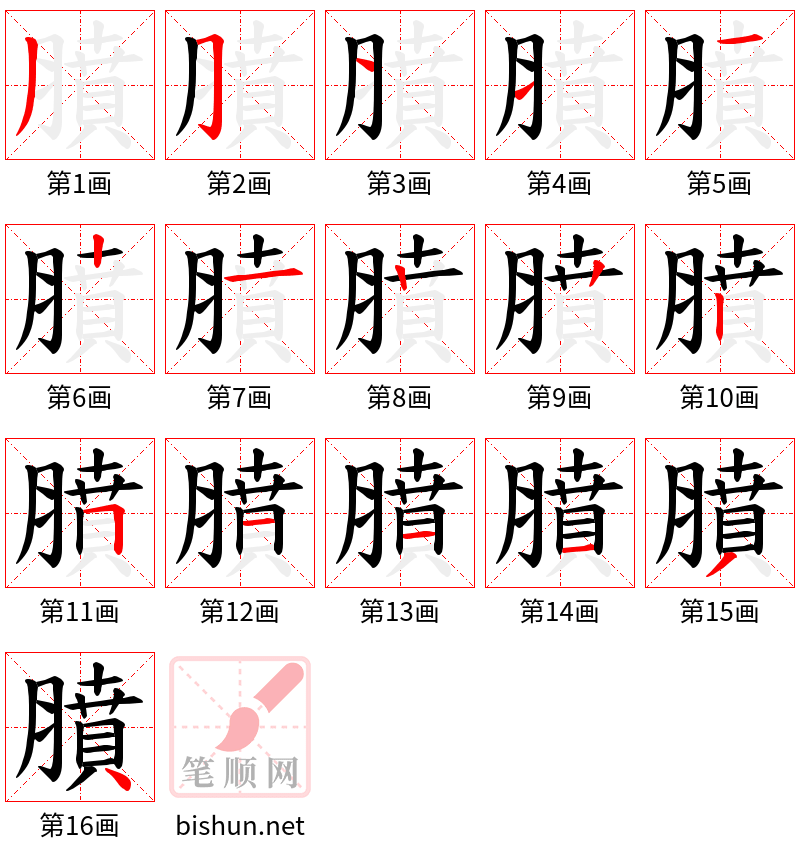 膹 笔顺规范