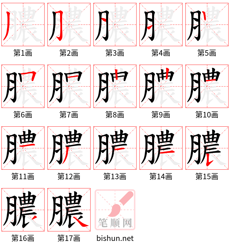 膿 笔顺规范