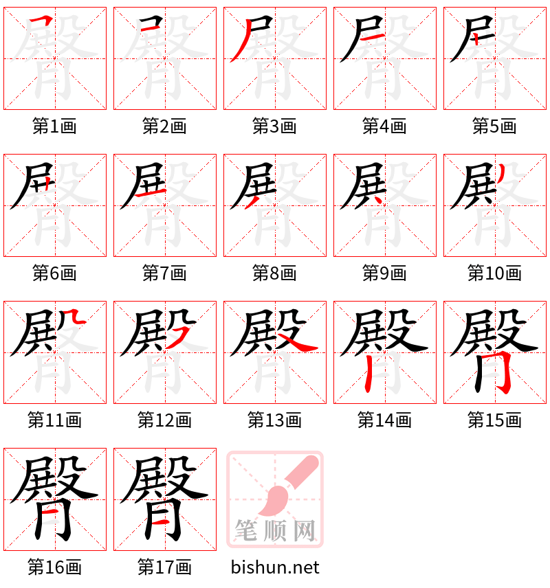 臀 笔顺规范