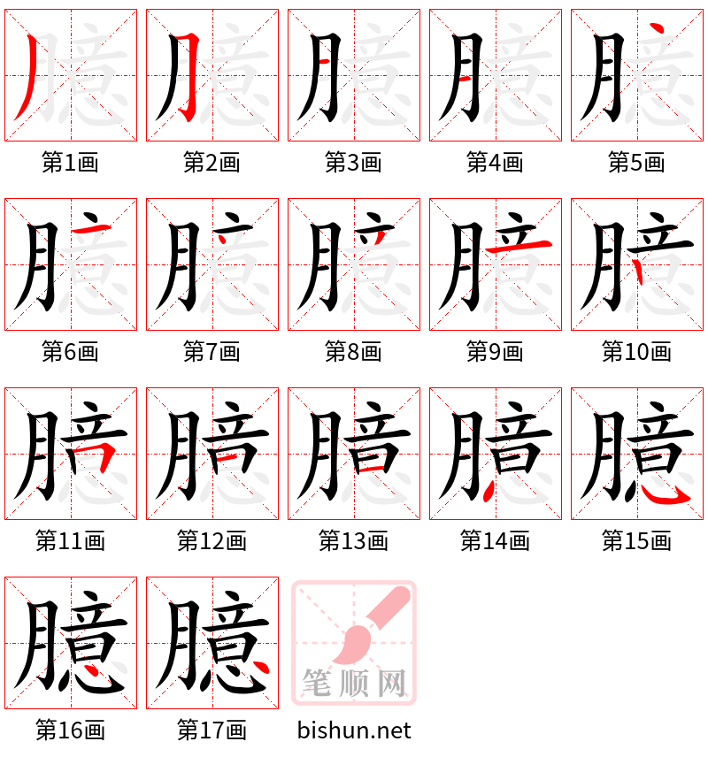 臆 笔顺规范
