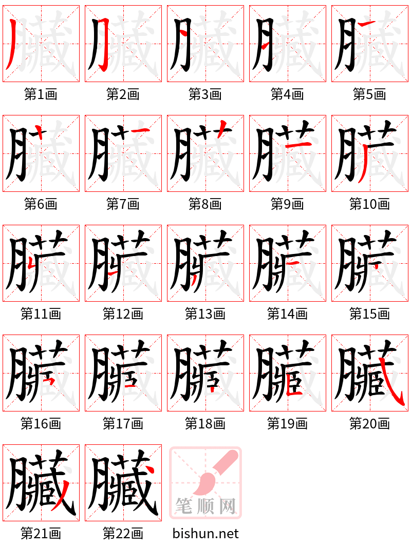 臟 笔顺规范