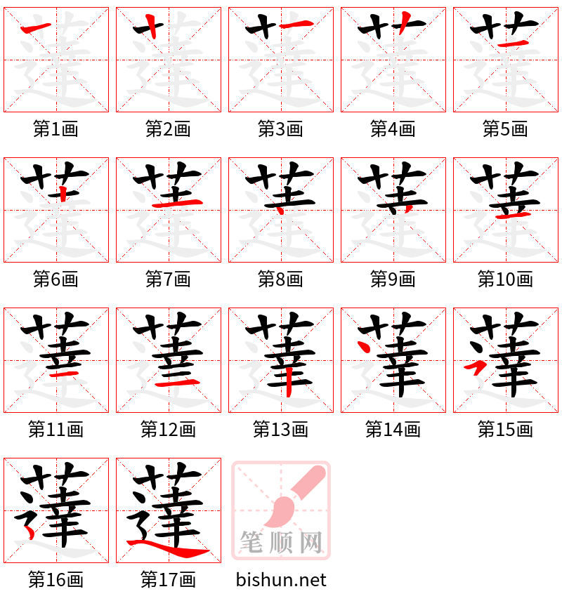 薘 笔顺规范