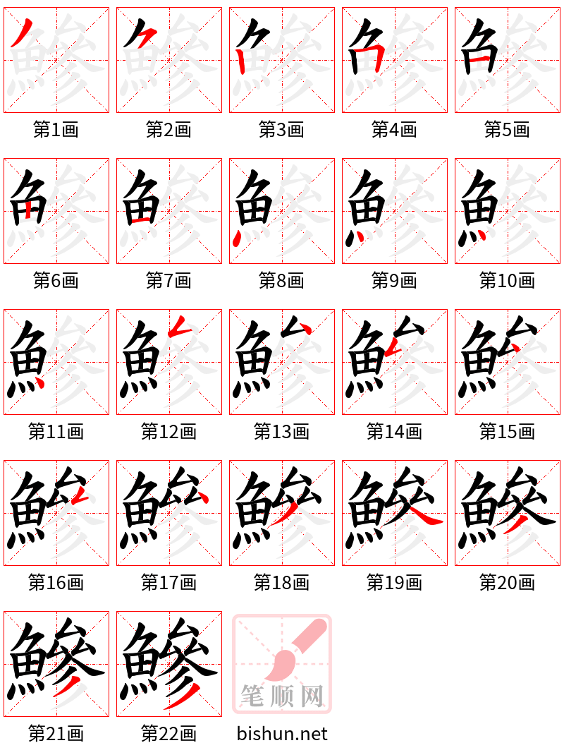 鰺 笔顺规范