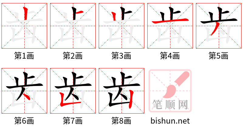 齿 笔顺规范