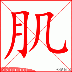 肌 笔顺动画