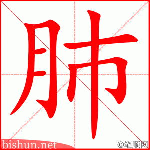 肺 笔顺动画
