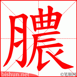 膿 笔顺动画