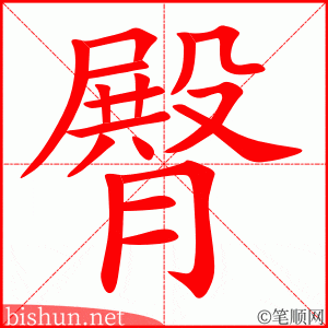 臀 笔顺动画