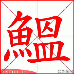 鰮 笔顺动画