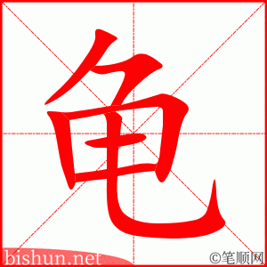 龟 笔顺动画